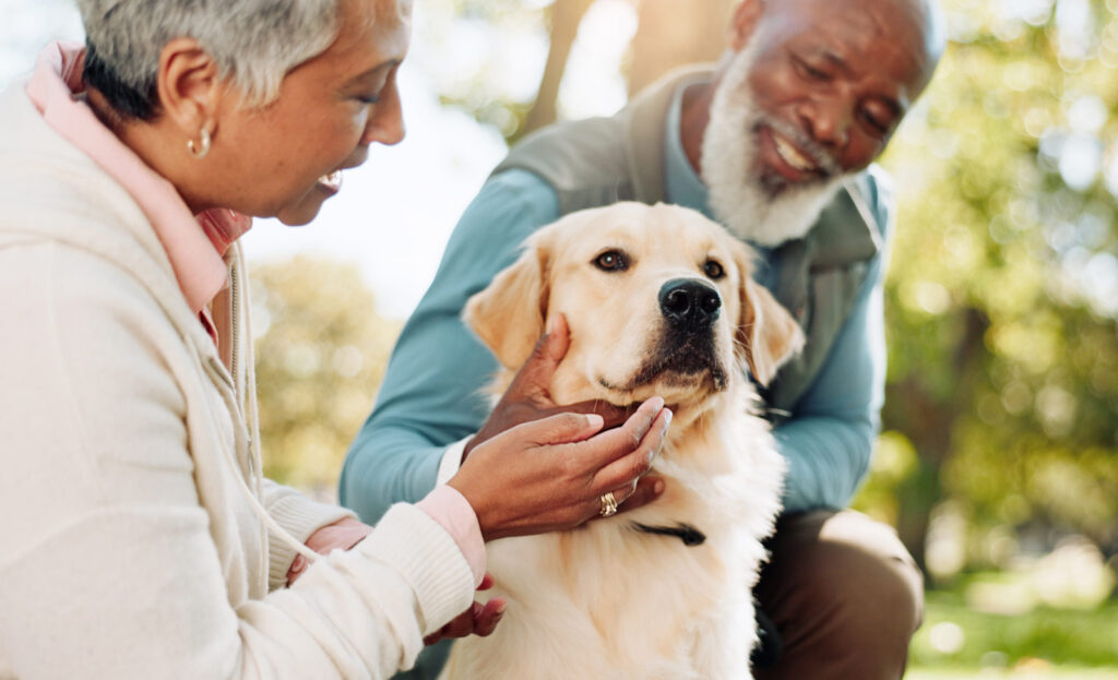 senior couple outside with their big dog