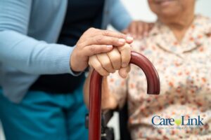 Meals on Wheels for Seniors: How Does It Help? cover